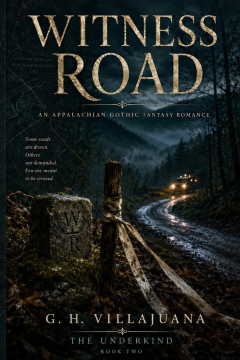 Buch Witness Road Gustavo Herman Villajuana