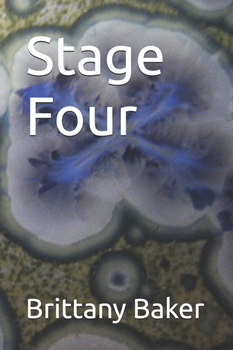 Livro Stage Four Brittany Baker