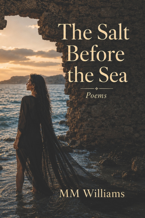 Libro The Salt Before the Sea MM Williams