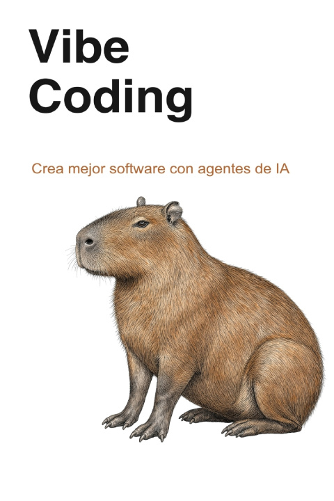 Buch Vibe Coding Julio Lena