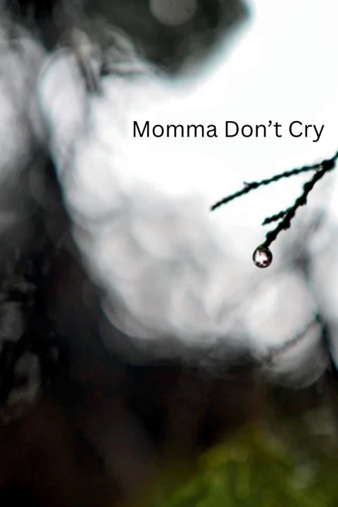 Kniha Momma Don't Cry Carrie Epperson
