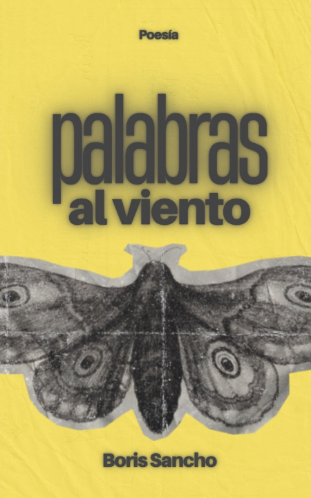 Könyv Palabras al viento Boris Sancho