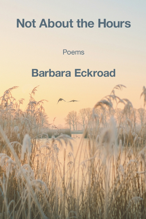 Book Not About the Hours Barbara Eckroad
