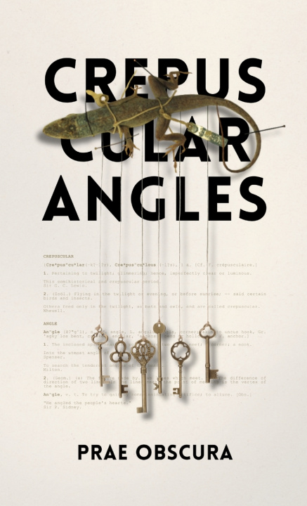 Boek Crepuscular Angles Prae Obscura