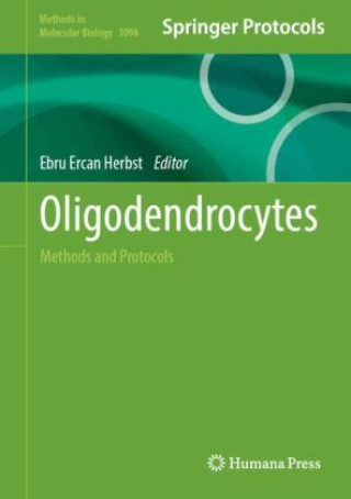Kniha Oligodendrocytes Ebru Ercan Herbst