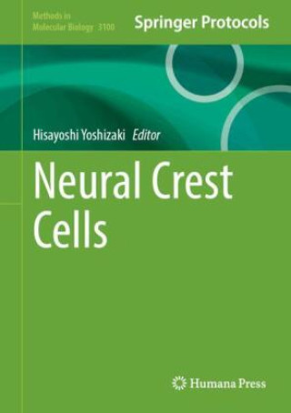 Könyv Neural Crest Cells Hisayoshi Yoshizaki