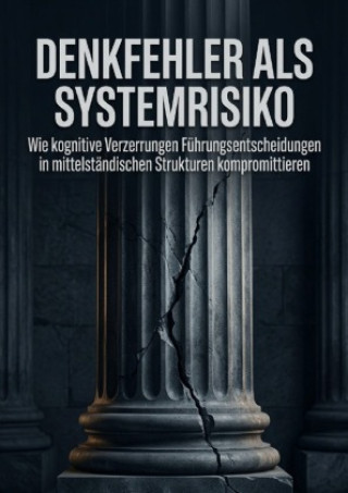 Book Denkfehler als Systemrisiko Elena Nordhagen