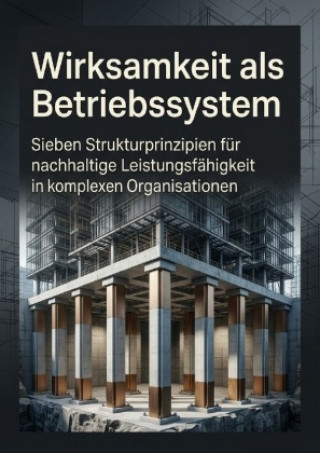 Buch Wirksamkeit als Betriebssystem Heinrich Adler