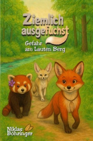 Livro Ziemlich ausgefuchst Niklas Böhringer