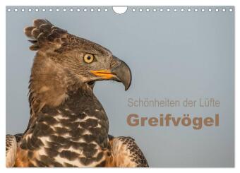 Calendario/Agenda Schönheiten der Lüfte - Greifvögel (Wandkalender 2027 DIN A4 quer), CALVENDO Monatskalender Calvendo