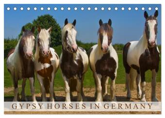 Kalendár/Diár Gypsy Horses (Tischkalender 2027 DIN A5 quer), CALVENDO Monatskalender Calvendo