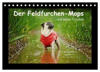 Календар/тефтер Der Feldfurchen-Mops (Tischkalender 2027 DIN A5 quer), CALVENDO Monatskalender Calvendo