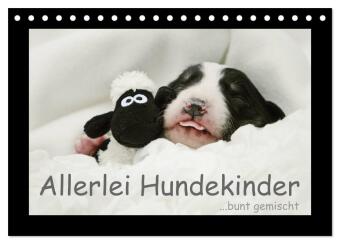 Kalendár/Diár Allerlei Hundekinder (Tischkalender 2027 DIN A5 quer), CALVENDO Monatskalender Calvendo