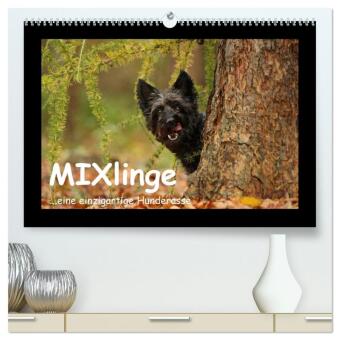 Kalender/Terminbuch MIXlinge (hochwertiger Premium Wandkalender 2027 DIN A2 quer), Kunstdruck in Hochglanz Calvendo