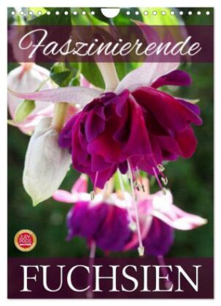 Kalendář/Diář Faszinierende Fuchsien (Wandkalender 2027 DIN A4 hoch), CALVENDO Monatskalender Calvendo