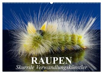 Kalender/agenda Raupen - Skurrile Verwandlungskünstler (Wandkalender 2027 DIN A2 quer), CALVENDO Monatskalender Calvendo