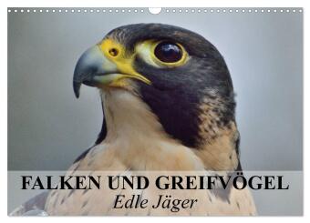 Kalender/Terminbuch Falken und Greifvögel. Edle Jäger (Wandkalender 2027 DIN A3 quer), CALVENDO Monatskalender Calvendo