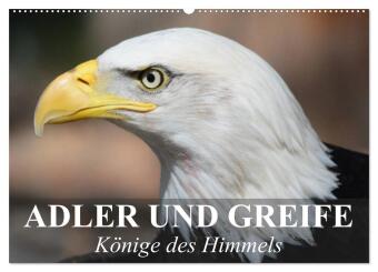 Kalendář/Diář Adler und Greife - Könige des Himmels (Wandkalender 2027 DIN A2 quer), CALVENDO Monatskalender Calvendo