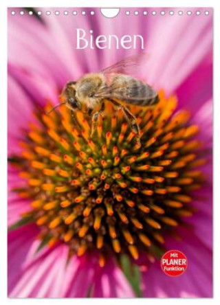 Kalendář/Diář Bienenplaner (Wandkalender 2027 DIN A4 hoch), CALVENDO Monatskalender Calvendo