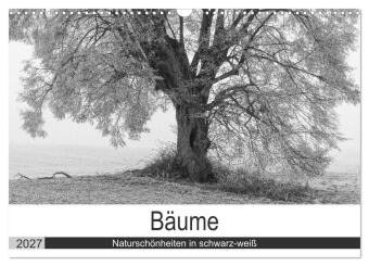 Kalender/agenda Bäume - Naturschönheiten in schwarz-weiß (Wandkalender 2027 DIN A3 quer), CALVENDO Monatskalender Calvendo