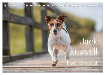 Naptár/Határidőnapló Jack Russell - Klein, aber oho! (Tischkalender 2027 DIN A5 quer), CALVENDO Monatskalender Calvendo