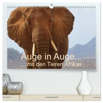 Kalender/agenda Auge in Auge mit den Tieren Afrikas (hochwertiger Premium Wandkalender 2027 DIN A2 quer), Kunstdruck in Hochglanz Calvendo