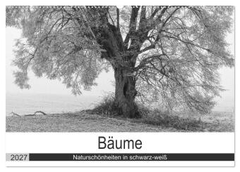 Naptár/Határidőnapló Bäume - Naturschönheiten in schwarz-weiß (Wandkalender 2027 DIN A2 quer), CALVENDO Monatskalender Calvendo