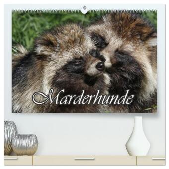 Kalender/Terminbuch Marderhunde (hochwertiger Premium Wandkalender 2027 DIN A2 quer), Kunstdruck in Hochglanz Calvendo