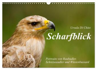 Kalender/Terminbuch Scharfblick (Wandkalender 2027 DIN A3 quer), CALVENDO Monatskalender Calvendo
