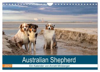 Naptár/Határidőnapló Australian Shepherd 2027 (Wandkalender 2027 DIN A4 quer), CALVENDO Monatskalender Calvendo