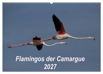 Kalender/Terminbuch Flamingos der Camargue 2027 (Wandkalender 2027 DIN A2 quer), CALVENDO Monatskalender Calvendo