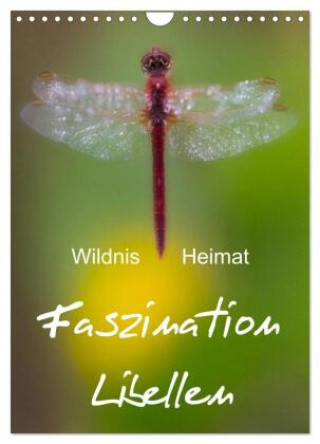 Kalender/Terminbuch Faszination Libellen - Wildnis Heimat (Wandkalender 2027 DIN A4 hoch), CALVENDO Monatskalender Calvendo