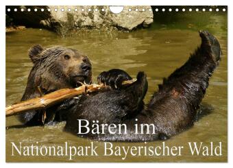 Kalender/Terminbuch Bären im Nationalpark Bayerischer Wald (Wandkalender 2027 DIN A4 quer), CALVENDO Monatskalender Calvendo