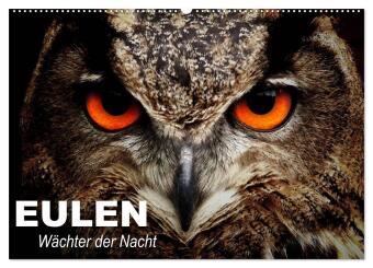 Kalender/Terminbuch Eulen. Wächter der Nacht (Wandkalender 2027 DIN A2 quer), CALVENDO Monatskalender Calvendo