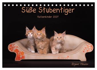 Kalendář/Diář Süße Stubentiger - Katzenkinder (Tischkalender 2027 DIN A5 quer), CALVENDO Monatskalender Calvendo