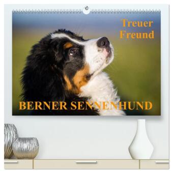 Naptár/Határidőnapló Treuer Freund Berner Sennenhund (hochwertiger Premium Wandkalender 2027 DIN A2 quer), Kunstdruck in Hochglanz Calvendo