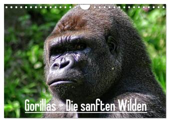 Kalendář/Diář Gorillas - Die sanften Wilden (Wandkalender 2027 DIN A4 quer), CALVENDO Monatskalender Calvendo