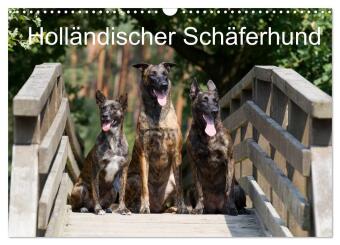 Naptár/Határidőnapló Holländischer Schäferhund (Wandkalender 2027 DIN A3 quer), CALVENDO Monatskalender Calvendo