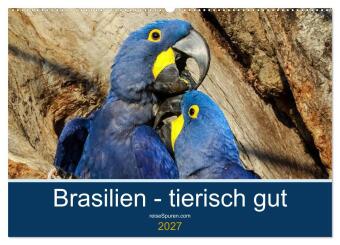 Kalendář/Diář Brasilien tierisch gut 2027 (Wandkalender 2027 DIN A2 quer), CALVENDO Monatskalender Calvendo