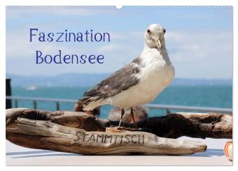 Calendário/Diário Faszination Bodensee (Wandkalender 2027 DIN A2 quer), CALVENDO Monatskalender Calvendo