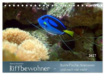 Kalender/Terminbuch Riffbewohner - Bunte Fische, Anemonen und noch viel mehr (Tischkalender 2027 DIN A5 quer), CALVENDO Monatskalender Calvendo