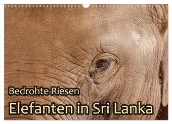 Calendario/Agenda Bedrohte Riesen - Elefanten in Sri Lanka (Wandkalender 2027 DIN A3 quer), CALVENDO Monatskalender Calvendo