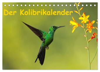Calendário/Diário Der Kolibrikalender (Tischkalender 2027 DIN A5 quer), CALVENDO Monatskalender Calvendo