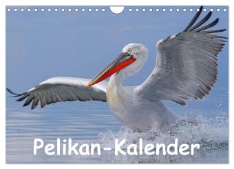Kalendár/Diár Pelikan-Kalender (Wandkalender 2027 DIN A4 quer), CALVENDO Monatskalender Calvendo
