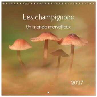 Kalender/agenda Les champignons - Un monde merveilleux (Calendrier mural carré 2027 30x30 cm) Calendrier double avec une page pour vos prises de notes Calvendo