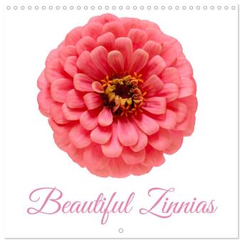 Kalender/Terminbuch Beautiful Zinnias (Wall Calendar 2027 12 × 12 Inch) CALVENDO 12 Month Wall Calendar Calvendo