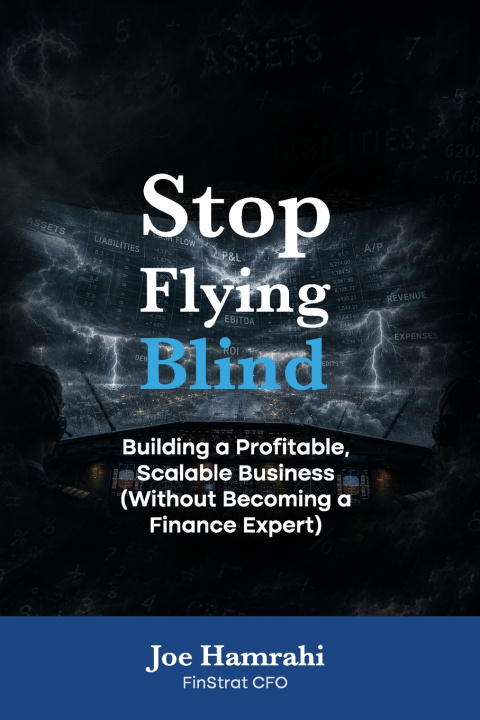 Книга Flying Blind Joe Hamrahi
