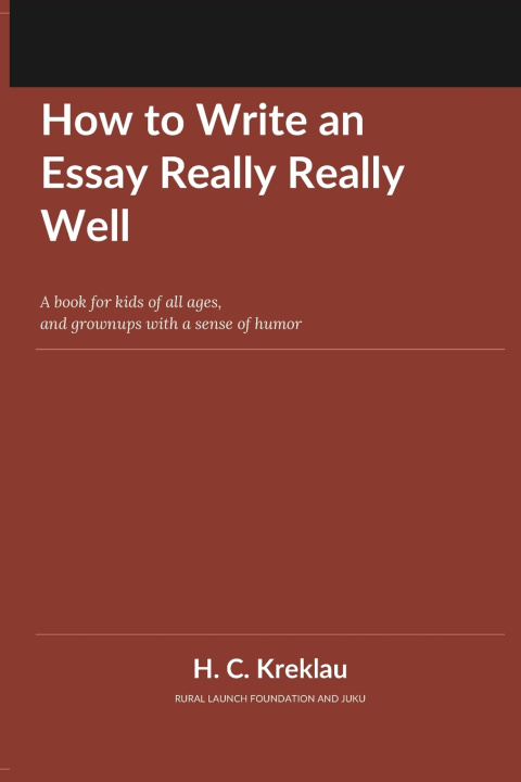 Buch How to Write an Essay Really Really Well HEIDI KREKLAU