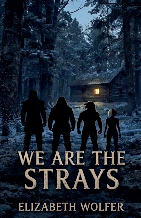 Boek We are the Strays Elizabeth Wolfer