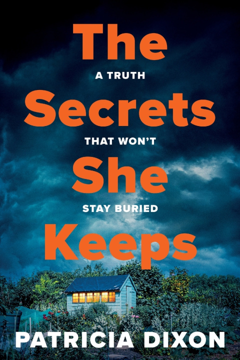 Buch The Secrets She Keeps Patricia Dixon
